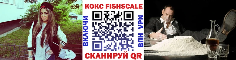 COCAIN Fish Scale  Купить  Кемерово 