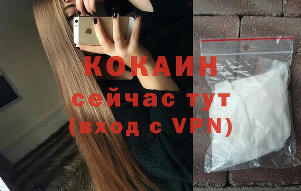 сатива Армянск