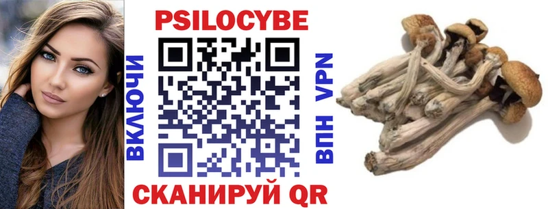 Купить где  Кемерово  Псилоцибиновые грибы MAGIC MUSHROOMS 